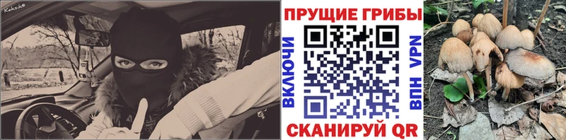 Псилоцибиновые грибы прущие грибы  дарнет шоп  Ахтырский 